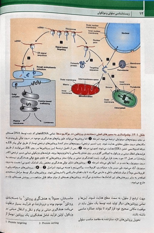 زیست شناسی سلولی و مولکولی لودیش 2021 جلد دوم 5 استاد
