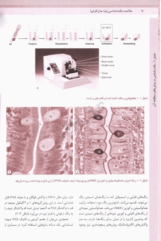 مرجع خلاصه QR بافت‌شناسی پایه جان‌کوئیرا 2021