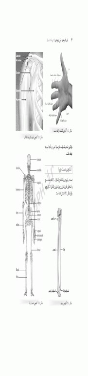 اورژانس‌های طبی ارتوپدی از تروما تا درمان