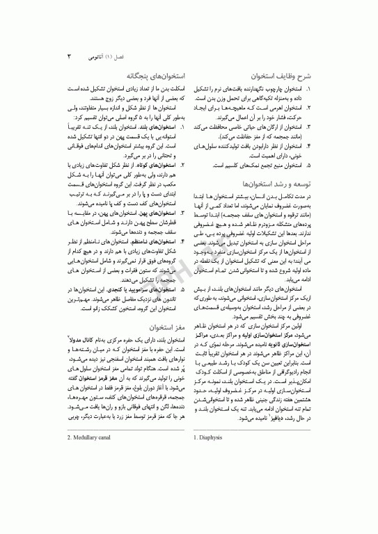 اورژانس‌های طبی ارتوپدی از تروما تا درمان