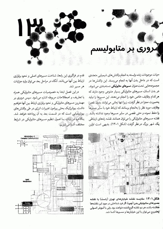 بیوشیمی برای دانشجویان رشته بیولوژی جلد دوم متابولیسم دکتر رضا محمدی