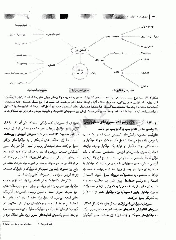 بیوشیمی برای دانشجویان رشته بیولوژی جلد دوم متابولیسم دکتر رضا محمدی