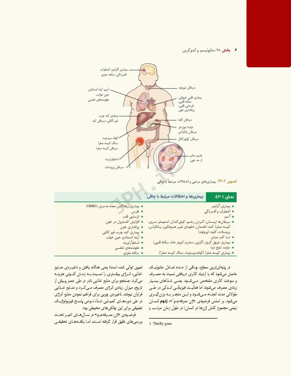 پرستاری داخلی و جراحی برونر و سودارث 2022 جلد10 متابولیسم و آندوکرین
