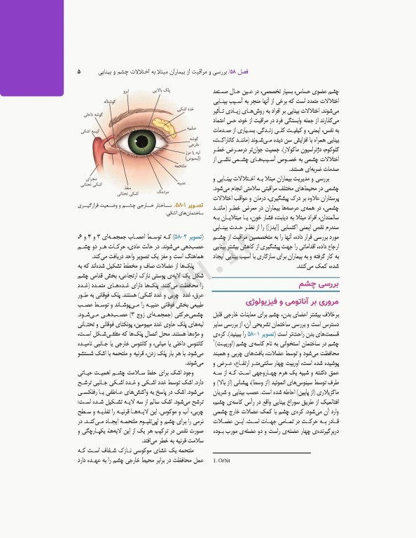 پرستاری داخلی و جراحی برونر و سودارث 2022 جلد14 چشم و گوش