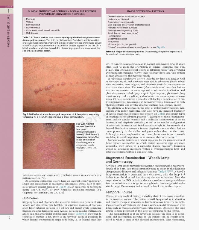 بیماری‌های پوست سه جلدی 2025 | Dermatology Bolognia 5th Edition