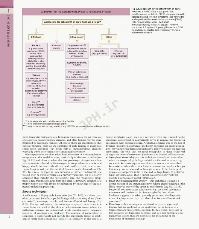 بیماری‌های پوست سه جلدی 2025 | Dermatology Bolognia 5th Edition