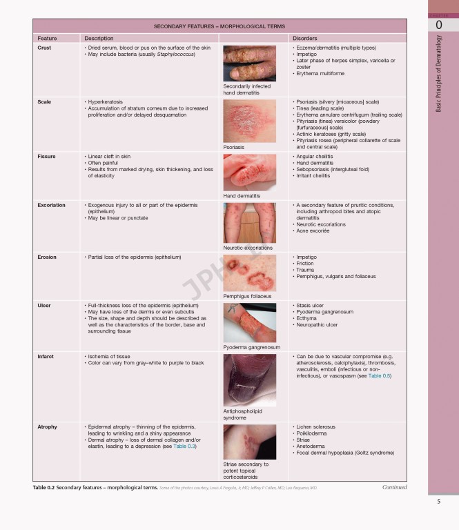 بیماری‌های پوست سه جلدی 2025 | Dermatology Bolognia 5th Edition