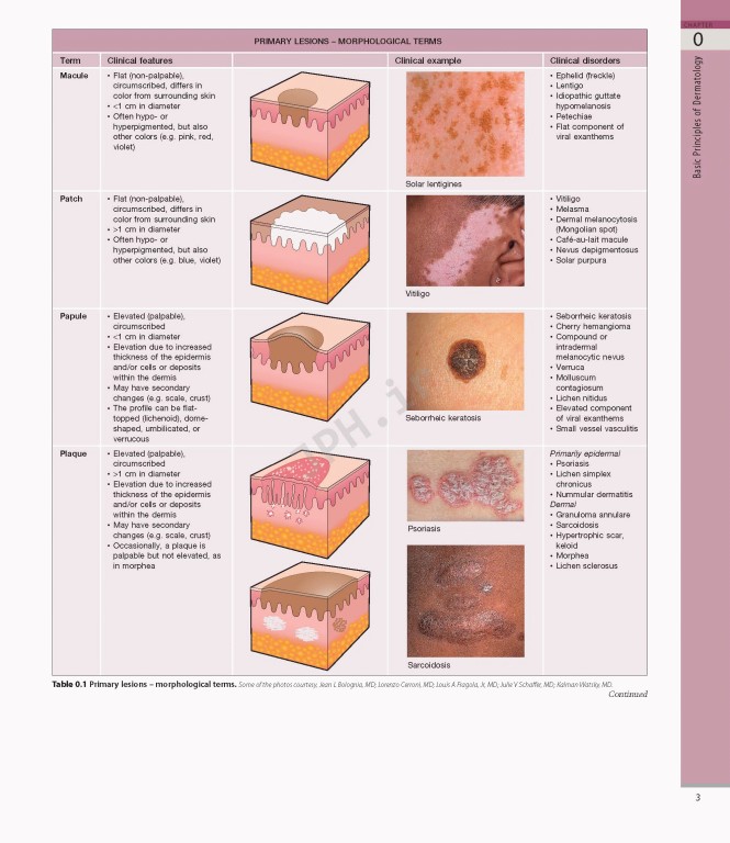بیماری‌های پوست سه جلدی 2025 | Dermatology Bolognia 5th Edition