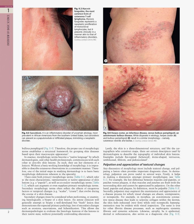 بیماری‌های پوست سه جلدی 2025 | Dermatology Bolognia 5th Edition