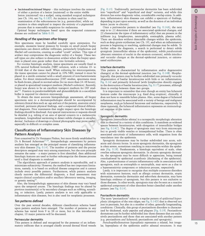 بیماری‌های پوست سه جلدی 2025 | Dermatology Bolognia 5th Edition