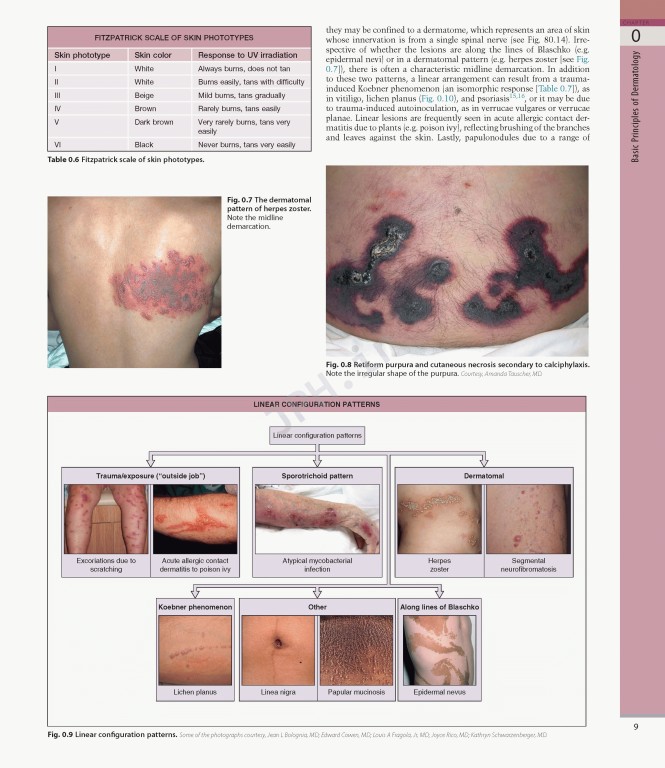 بیماری‌های پوست سه جلدی 2025 | Dermatology Bolognia 5th Edition