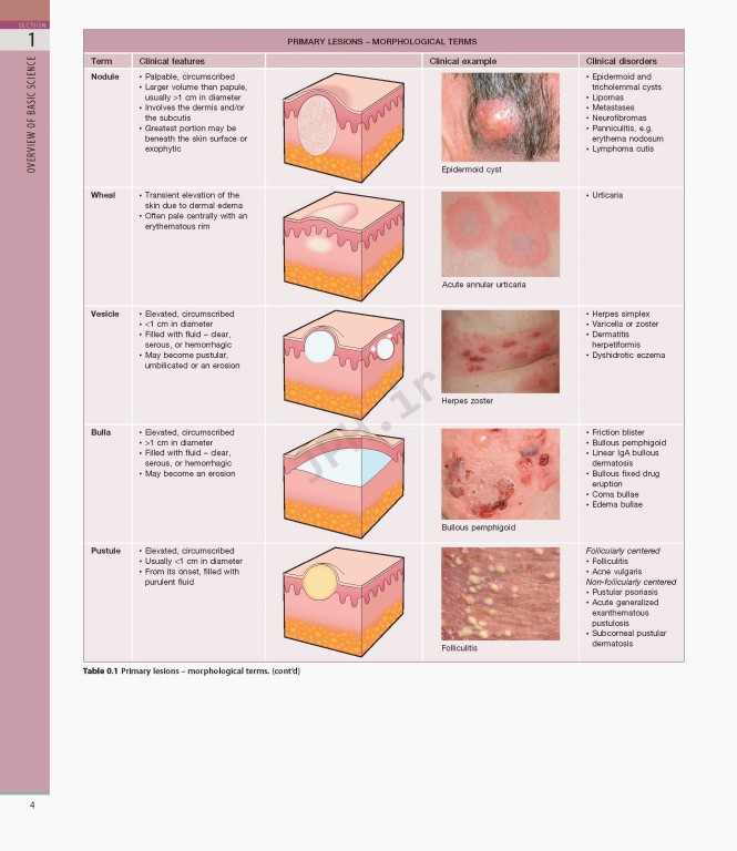 بیماری‌های پوست سه جلدی 2025 | Dermatology Bolognia 5th Edition