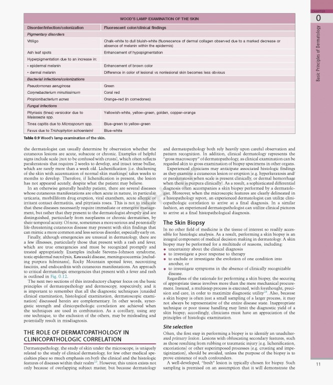 بیماری‌های پوست سه جلدی 2025 | Dermatology Bolognia 5th Edition