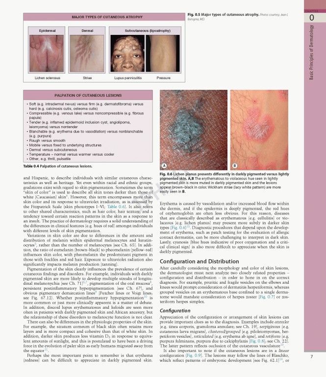 بیماری‌های پوست سه جلدی 2025 | Dermatology Bolognia 5th Edition