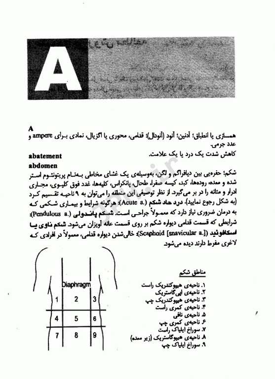 فرهنگ پرستاری بیلیر 2009