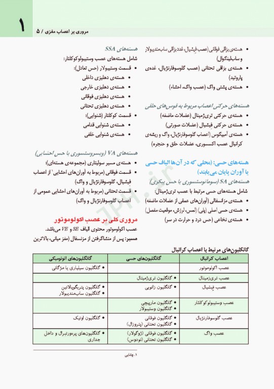 اعصاب مغزی نتر 2016