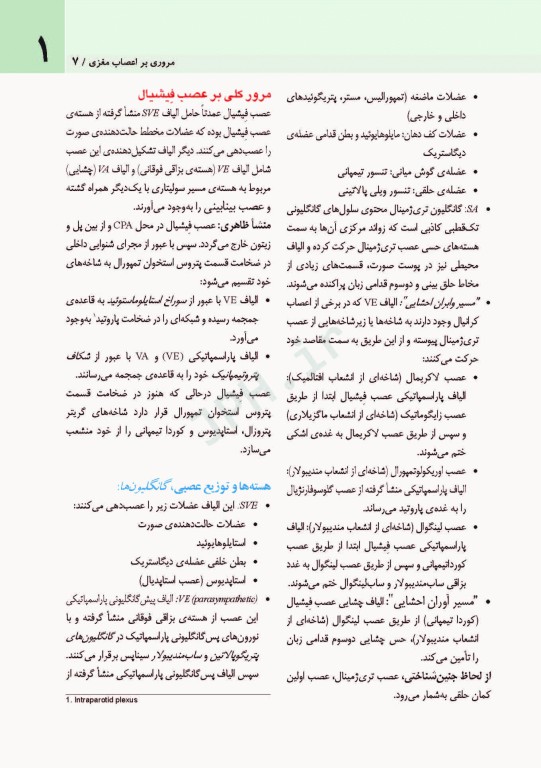 اعصاب مغزی نتر 2016