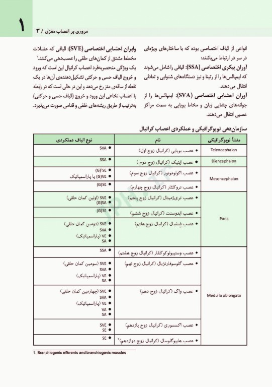 اعصاب مغزی نتر 2016