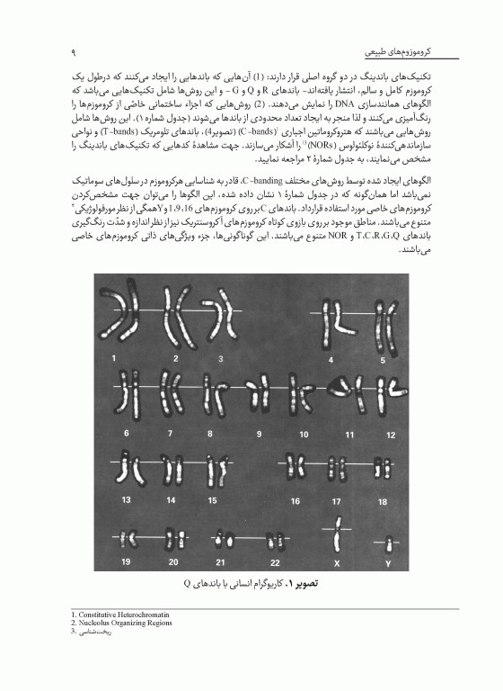 سیستم بین المللی نامگذاری سیتوژنتیک انسانی ISCN 2013