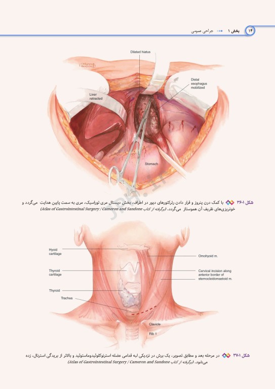 اطلس جراحی برای تکنولوژیست جراحی دکتر گلچینی