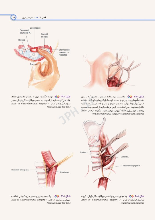 اطلس جراحی برای تکنولوژیست جراحی دکتر گلچینی