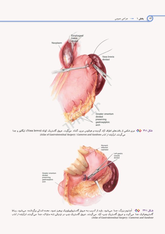 اطلس جراحی برای تکنولوژیست جراحی دکتر گلچینی