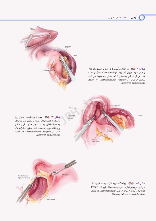 اطلس جراحی برای تکنولوژیست جراحی دکتر گلچینی