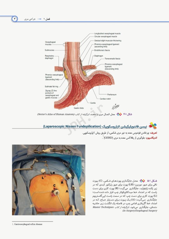 اطلس جراحی برای تکنولوژیست جراحی دکتر گلچینی