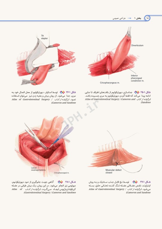 اطلس جراحی برای تکنولوژیست جراحی دکتر گلچینی