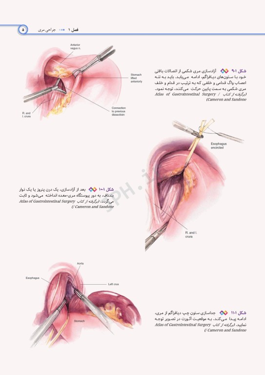 اطلس جراحی برای تکنولوژیست جراحی دکتر گلچینی