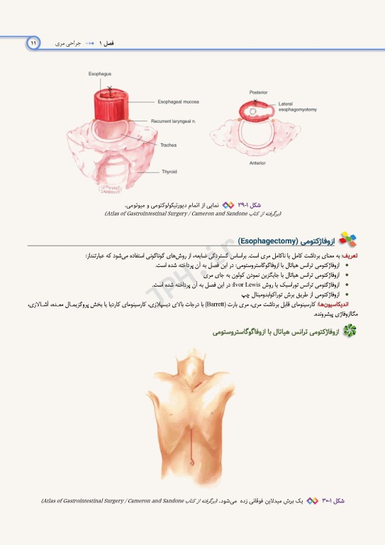 اطلس جراحی برای تکنولوژیست جراحی دکتر گلچینی