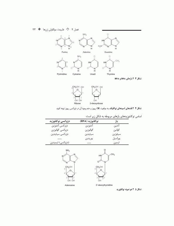 چکیده زیست شناسی مولکولی وی‌ور