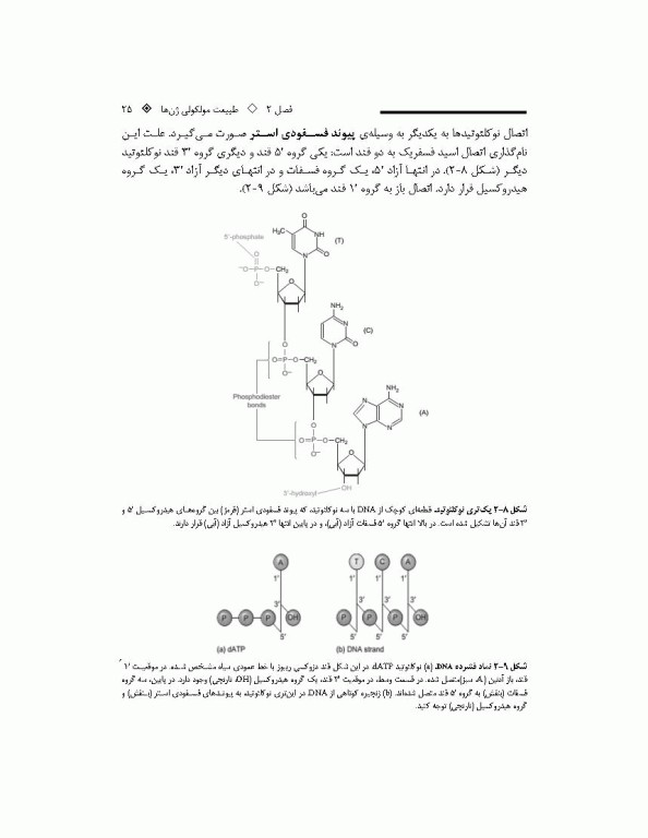 چکیده زیست شناسی مولکولی وی‌ور