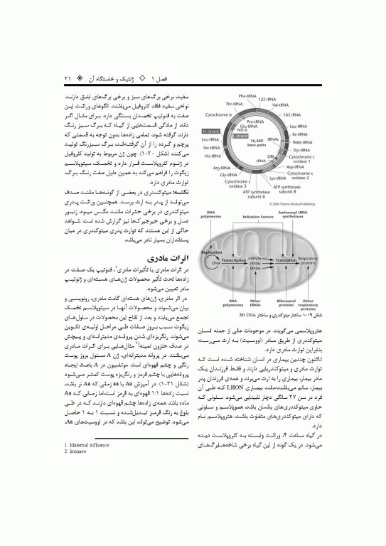 ژنتیک پایه تا پیشرفته دکتر قیاسوند