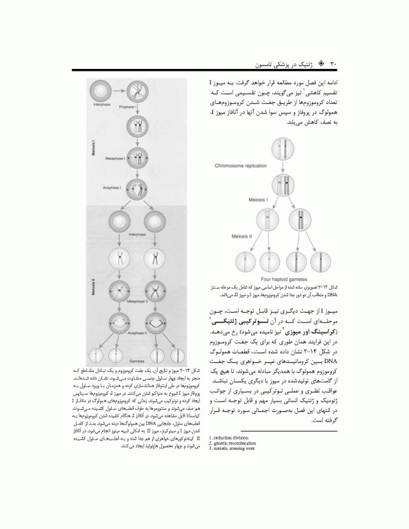 ترجمه کامل ژنتیک در پزشکی تامسون 2016 دکتر نجات مهدیه