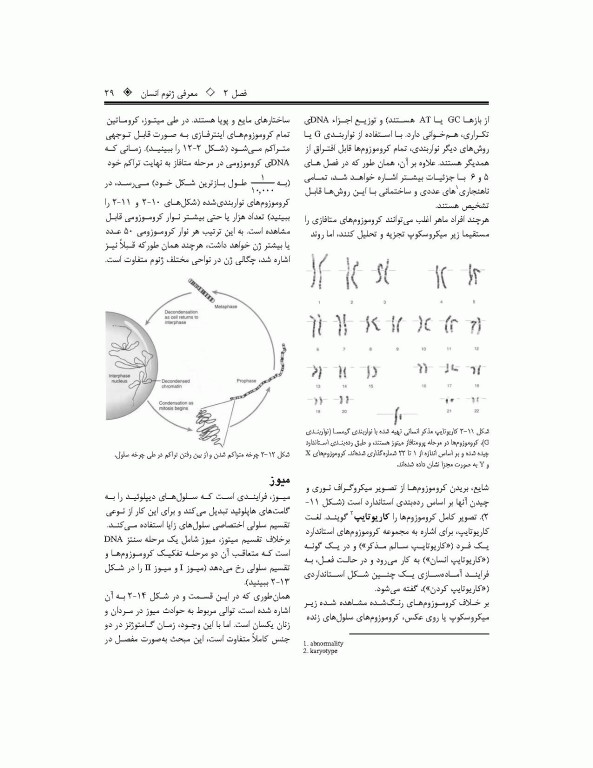 ترجمه کامل ژنتیک در پزشکی تامسون 2016 دکتر نجات مهدیه