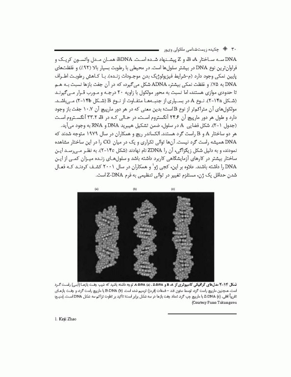 چکیده زیست شناسی مولکولی وی‌ور