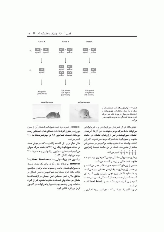 ژنتیک پایه تا پیشرفته دکتر قیاسوند