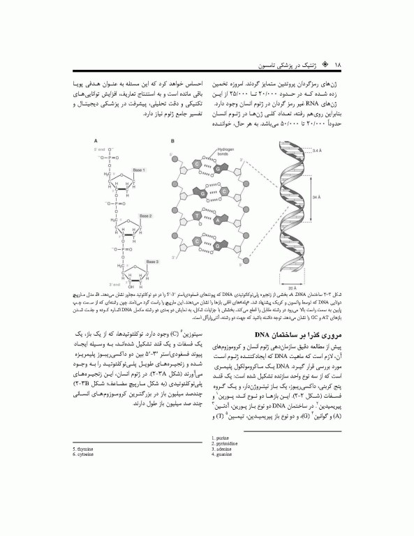 ترجمه کامل ژنتیک در پزشکی تامسون 2016 دکتر نجات مهدیه