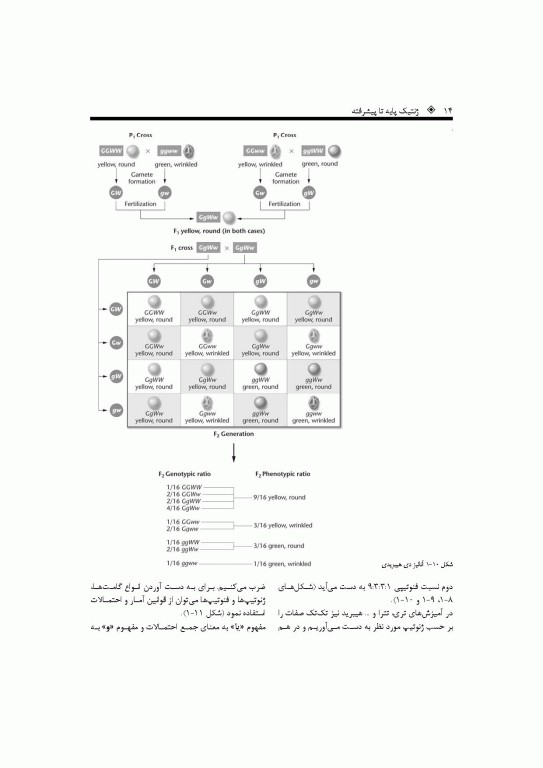 ژنتیک پایه تا پیشرفته دکتر قیاسوند