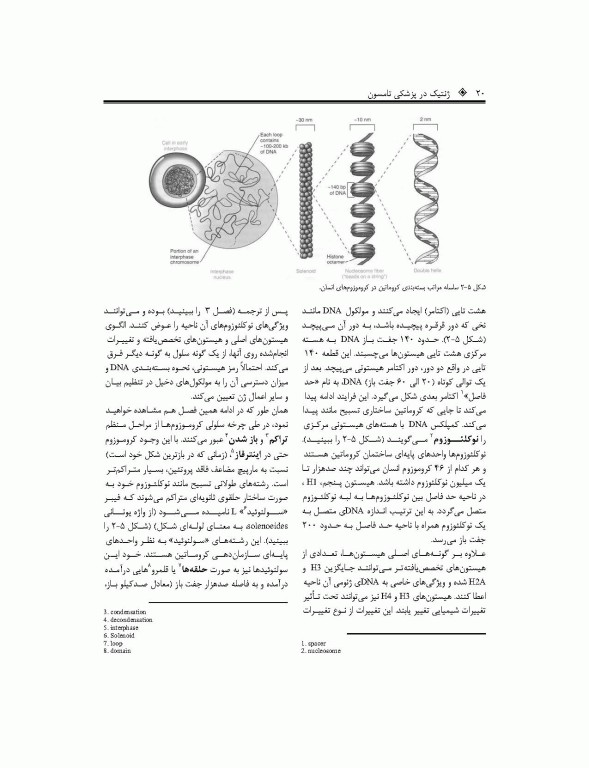 ترجمه کامل ژنتیک در پزشکی تامسون 2016 دکتر نجات مهدیه