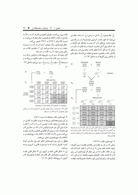 ژنتیک پایه تا پیشرفته دکتر قیاسوند