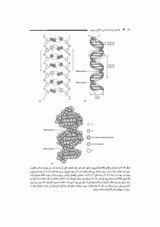 چکیده زیست شناسی مولکولی وی‌ور