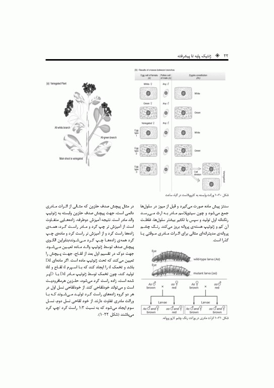 ژنتیک پایه تا پیشرفته دکتر قیاسوند