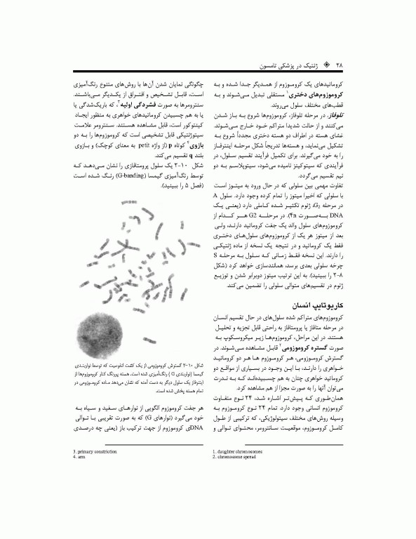 ترجمه کامل ژنتیک در پزشکی تامسون 2016 دکتر نجات مهدیه