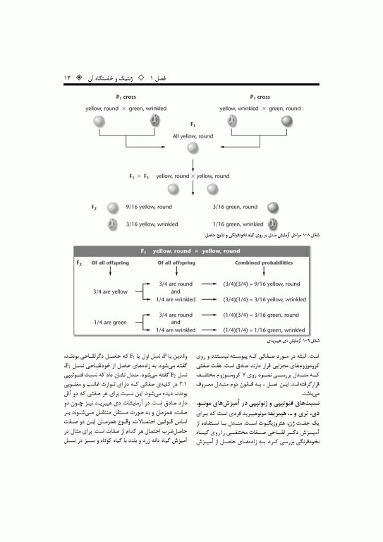 ژنتیک پایه تا پیشرفته دکتر قیاسوند