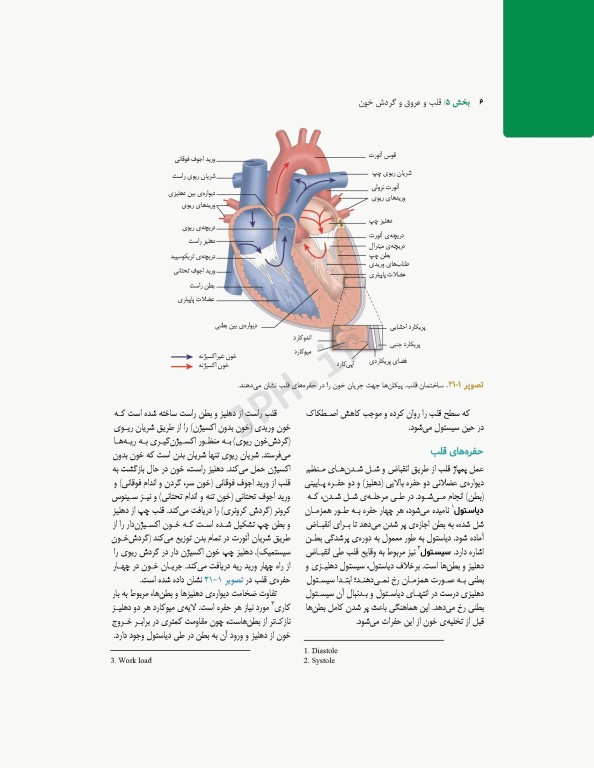 پرستاری داخلی و جراحی برونر و سودارث 2022 جلد5 قلب و عروق و گردش خون