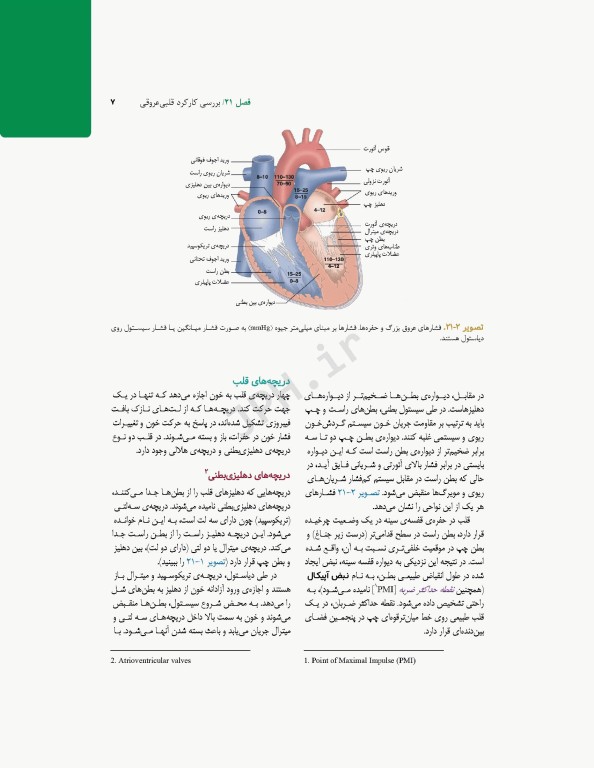 پرستاری داخلی و جراحی برونر و سودارث 2022 جلد5 قلب و عروق و گردش خون