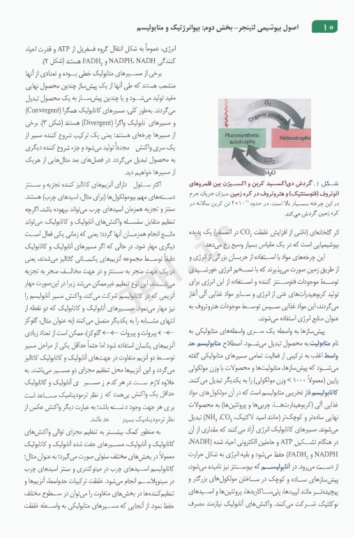 اصول بیوشیمی لنینجر 2021 دکتر جعفرنژاد جلد دوم