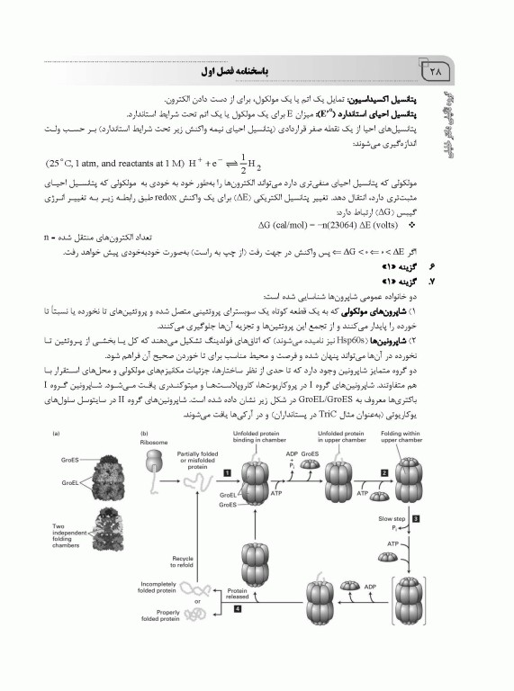 بانک سوالات IQB پلاس زیست‌شناسی سلولی و مولکولی